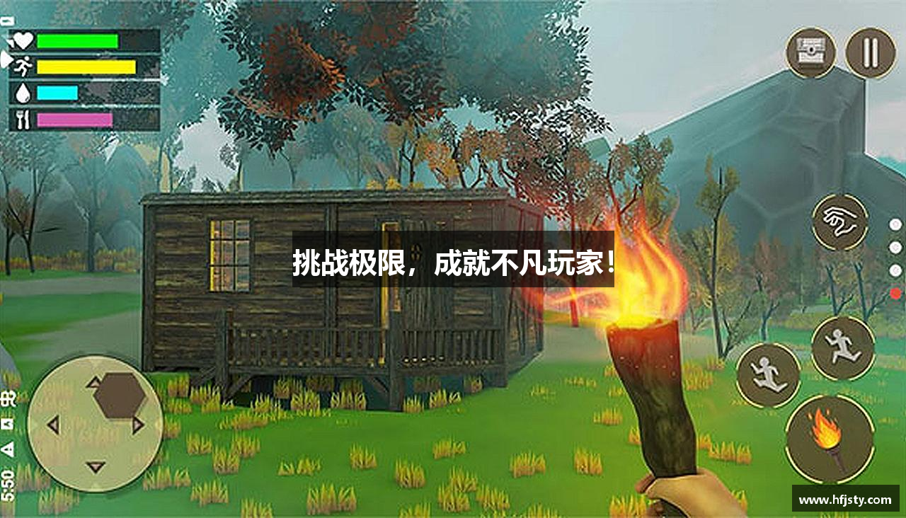 挑战极限，成就不凡玩家！